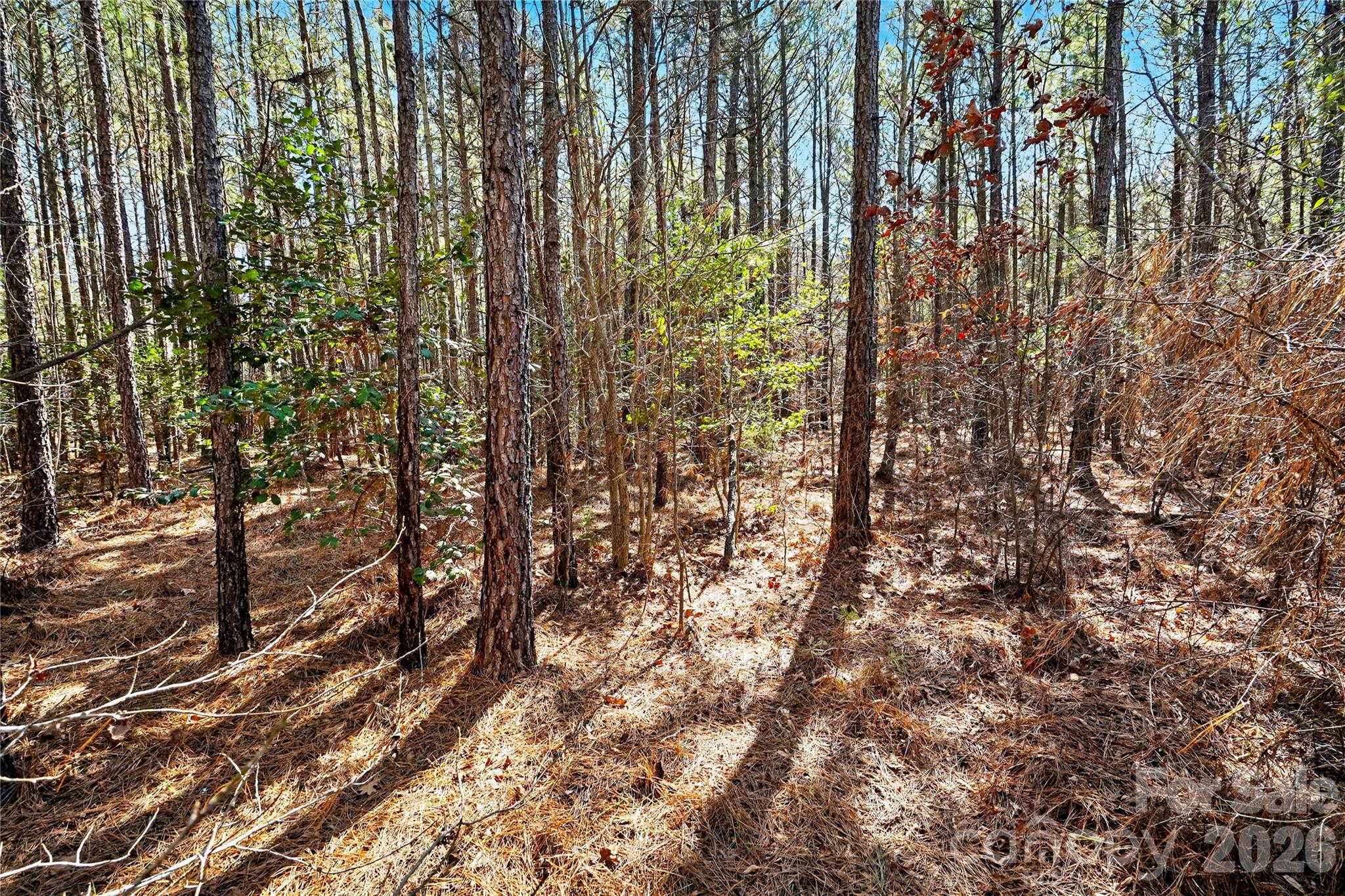 0 Three Crow Road, Unit D2C Lancaster, SC 29720 - Photo 11 of 13