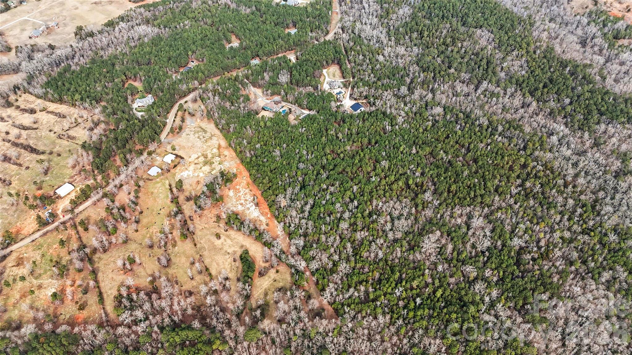 0 Three Crow Road, Unit D2C Lancaster, SC 29720 - Photo 5 of 13 a close up of a tree