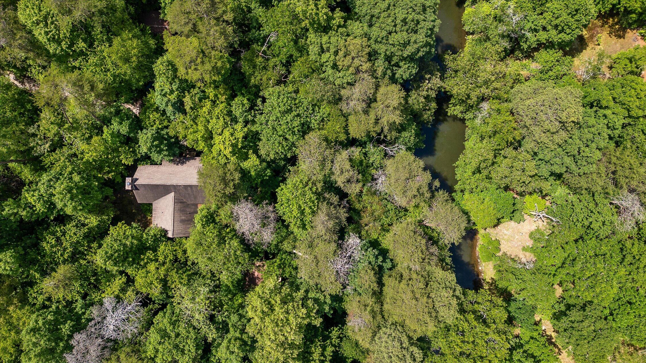 390 Moon Lake Road Mentone, AL 35984 - Photo 10 of 60 16-Moon Lake-15
