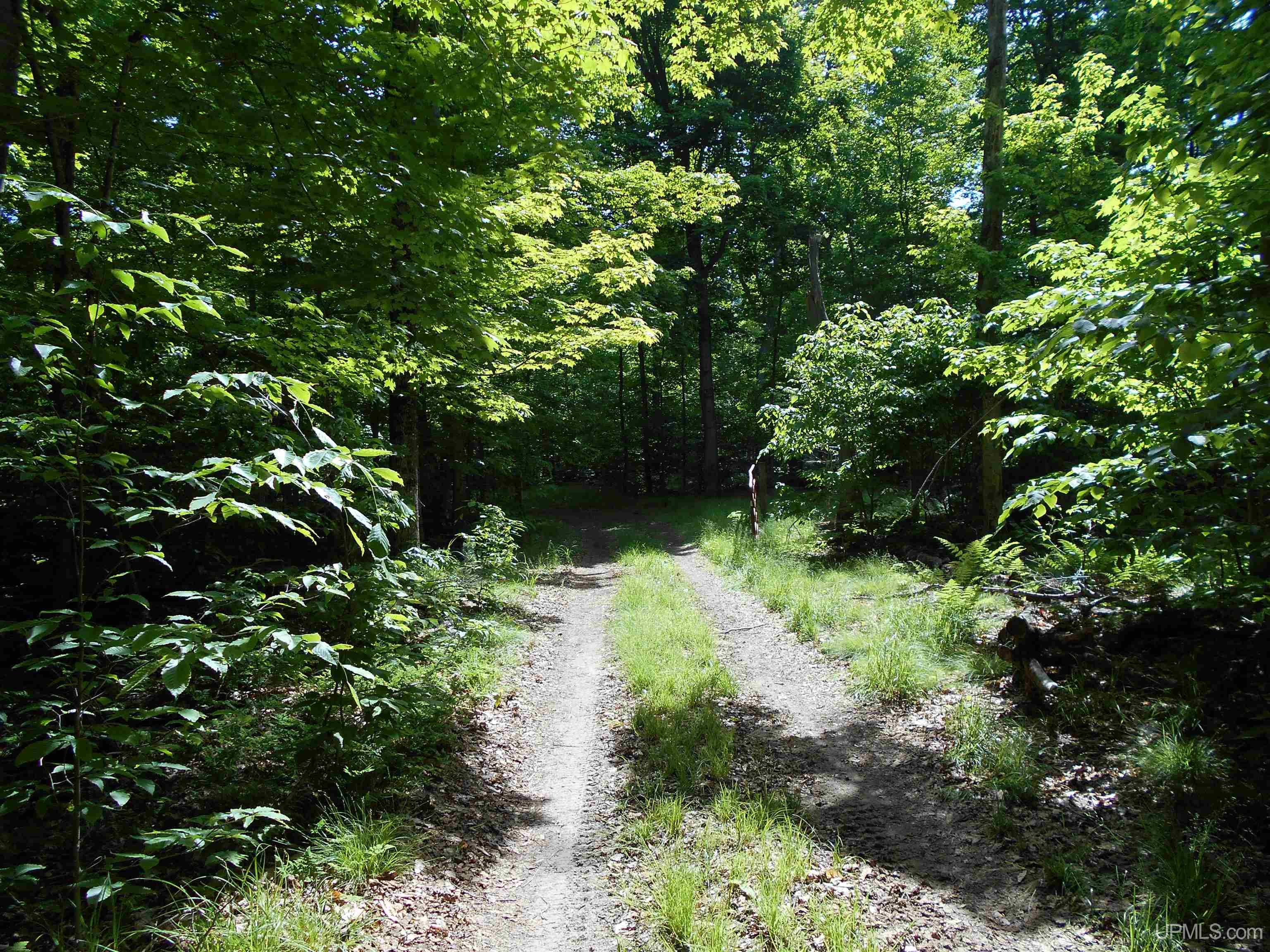 Tbd West Parcel B Little Harbor Road Manistique, MI 49854 - Photo 11 of 43 Gallery Image 11
