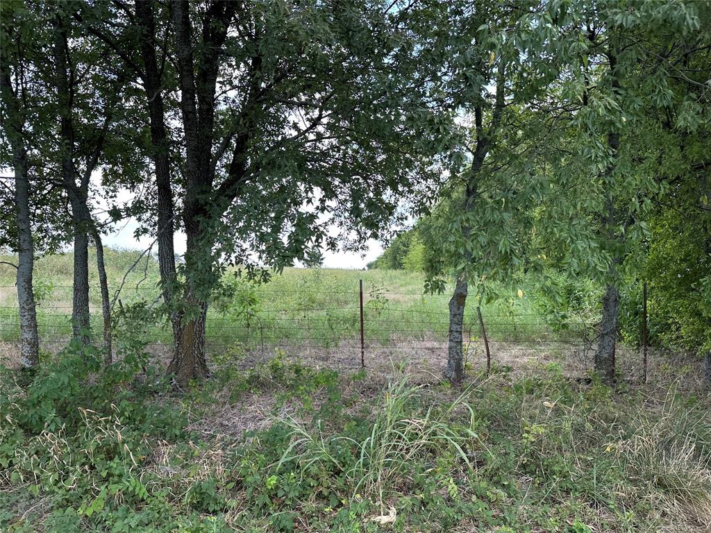 Lot 3 Rutledge Road Whitewright, TX 75491 - Photo 16 of 16
