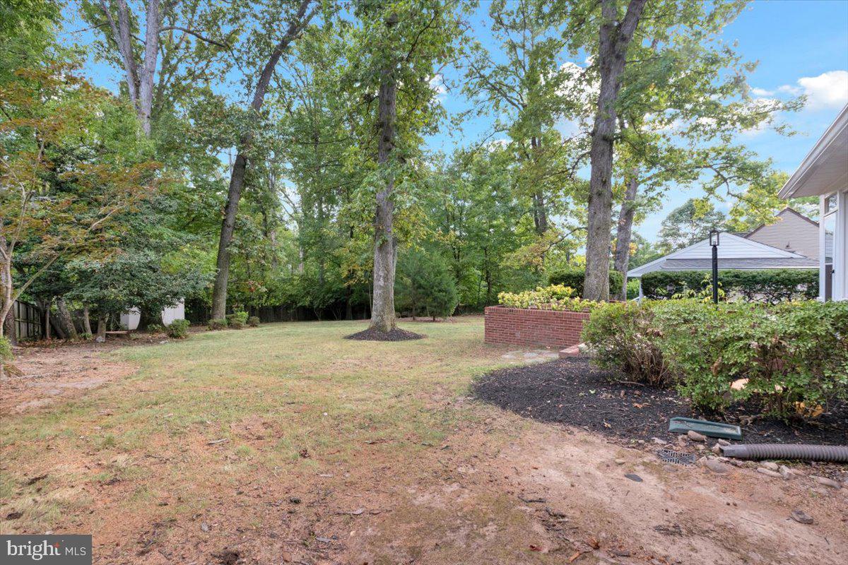 1903 Kirby Road McLean, VA 22101 - Photo 31 of 38 Backyard