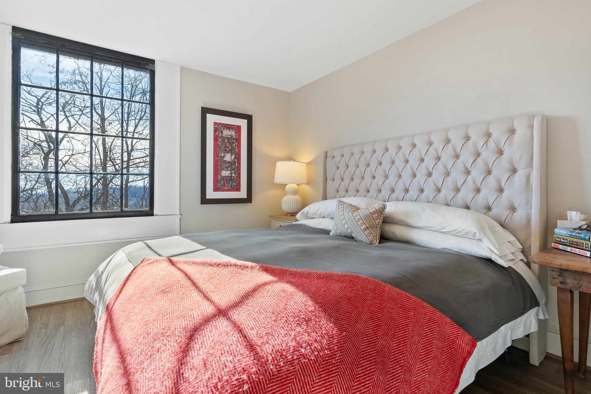 160 Ben Venue Road Flint Hill, VA 22627 - Photo 28 of 56 Serene primary bedroom