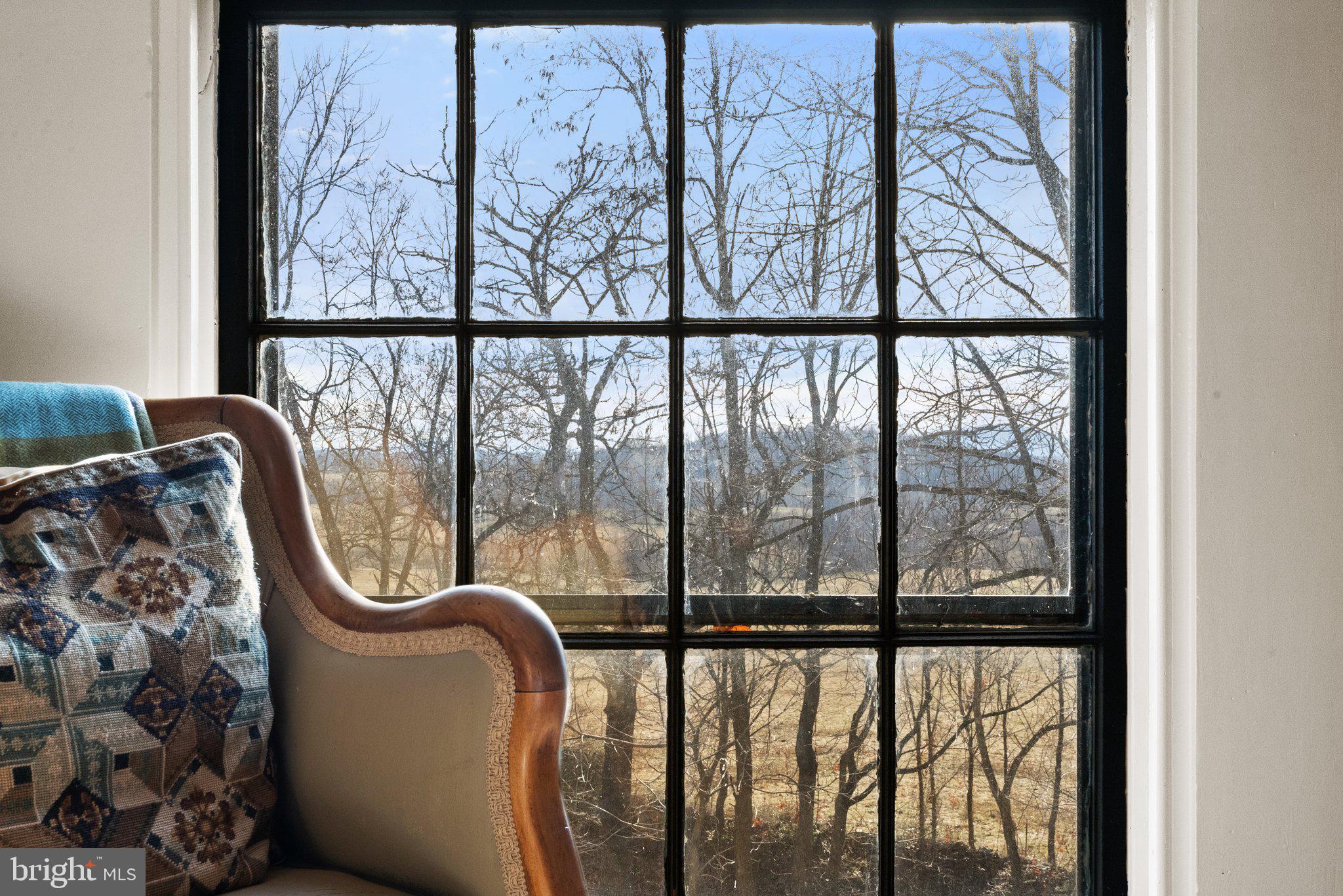 160 Ben Venue Road Flint Hill, VA 22627 - Photo 34 of 56 Imagine these work-from-home views