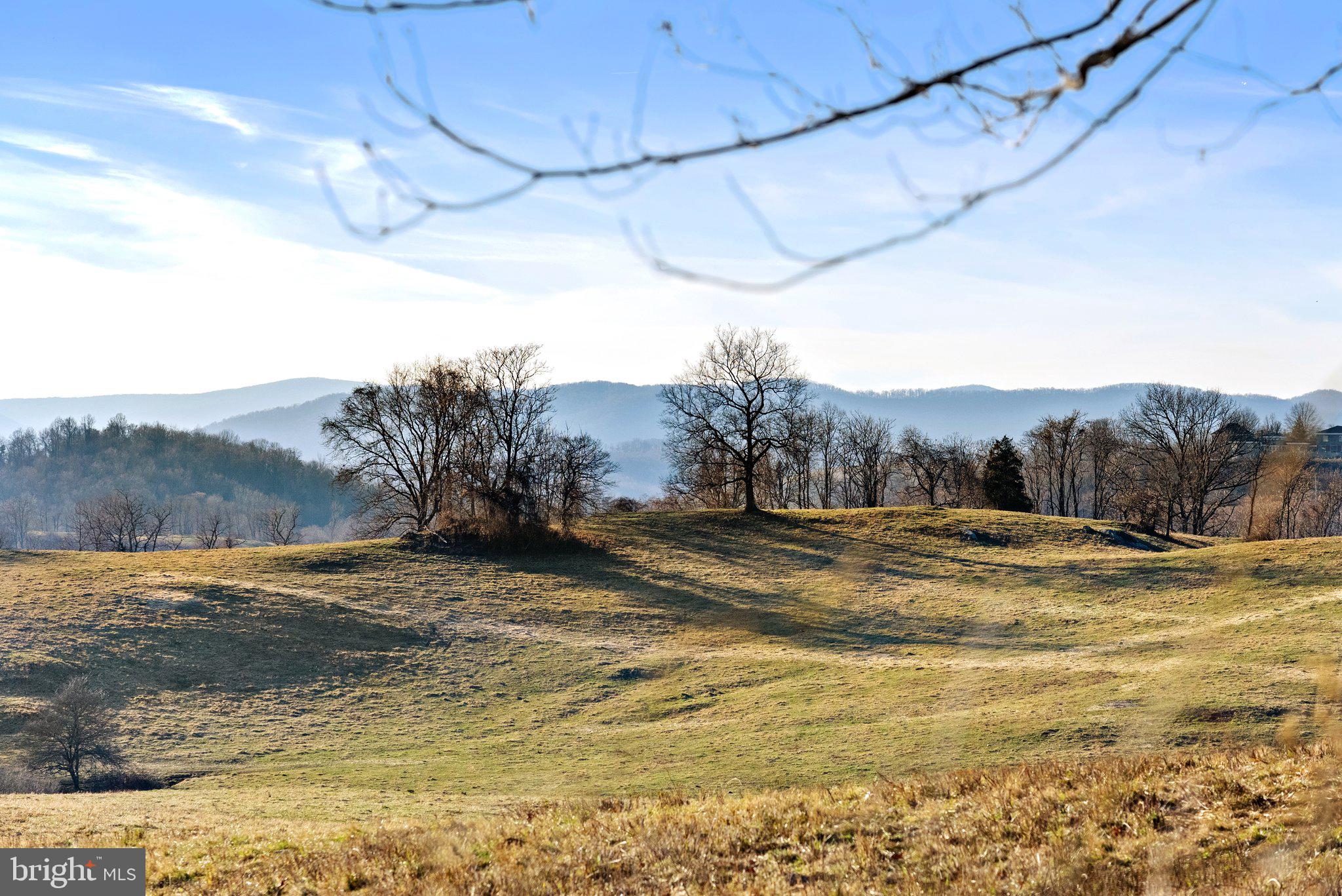 160 Ben Venue Road Flint Hill, VA 22627 - Photo 51 of 56