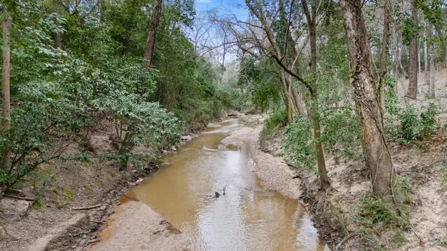 a view of a lake with beach and trees