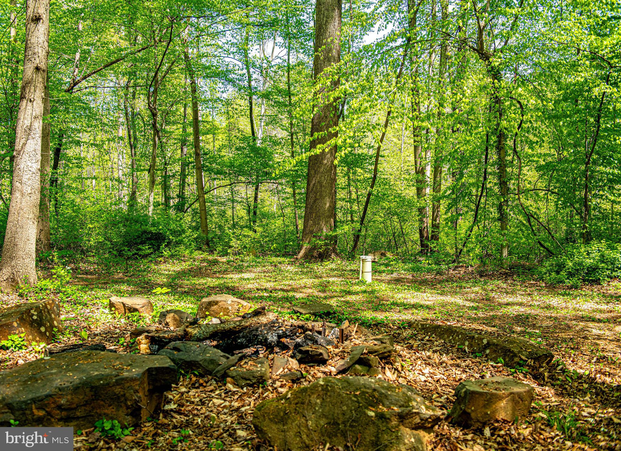 637 Old Robinhood Road Aberdeen, MD 21001 - Photo 53 of 66