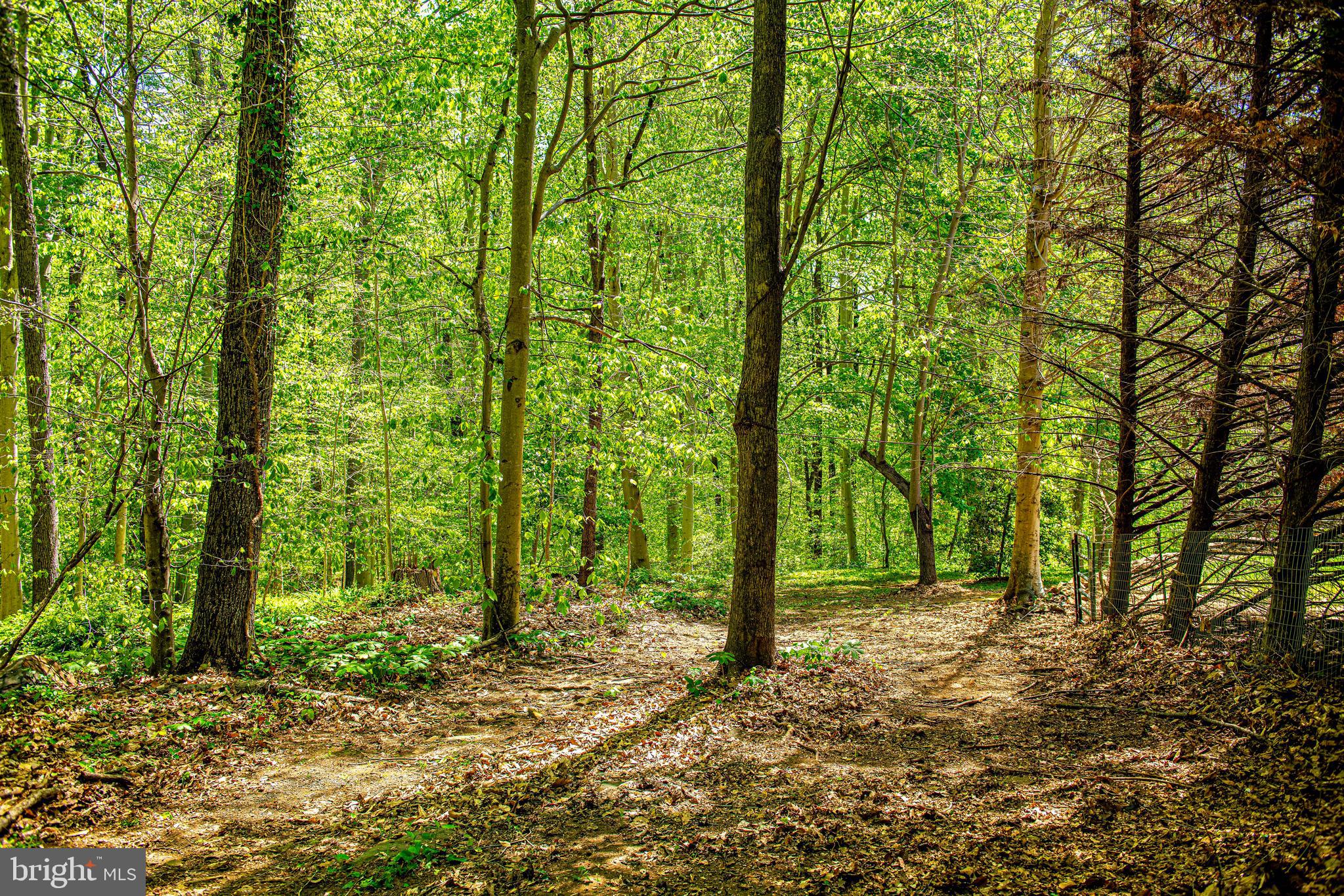 637 Old Robinhood Road Aberdeen, MD 21001 - Photo 54 of 66