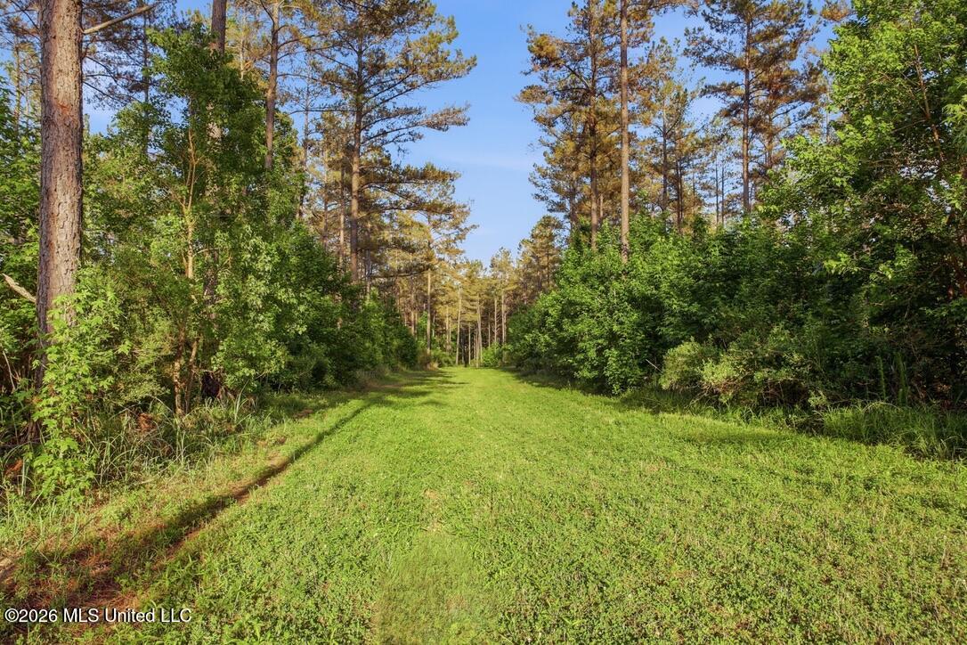 425 Rose Hill Road Bentonia, MS 39040 - Photo 117 of 150 94D4EFEA-81E6-445A-922C-3804D58110F2_1_1