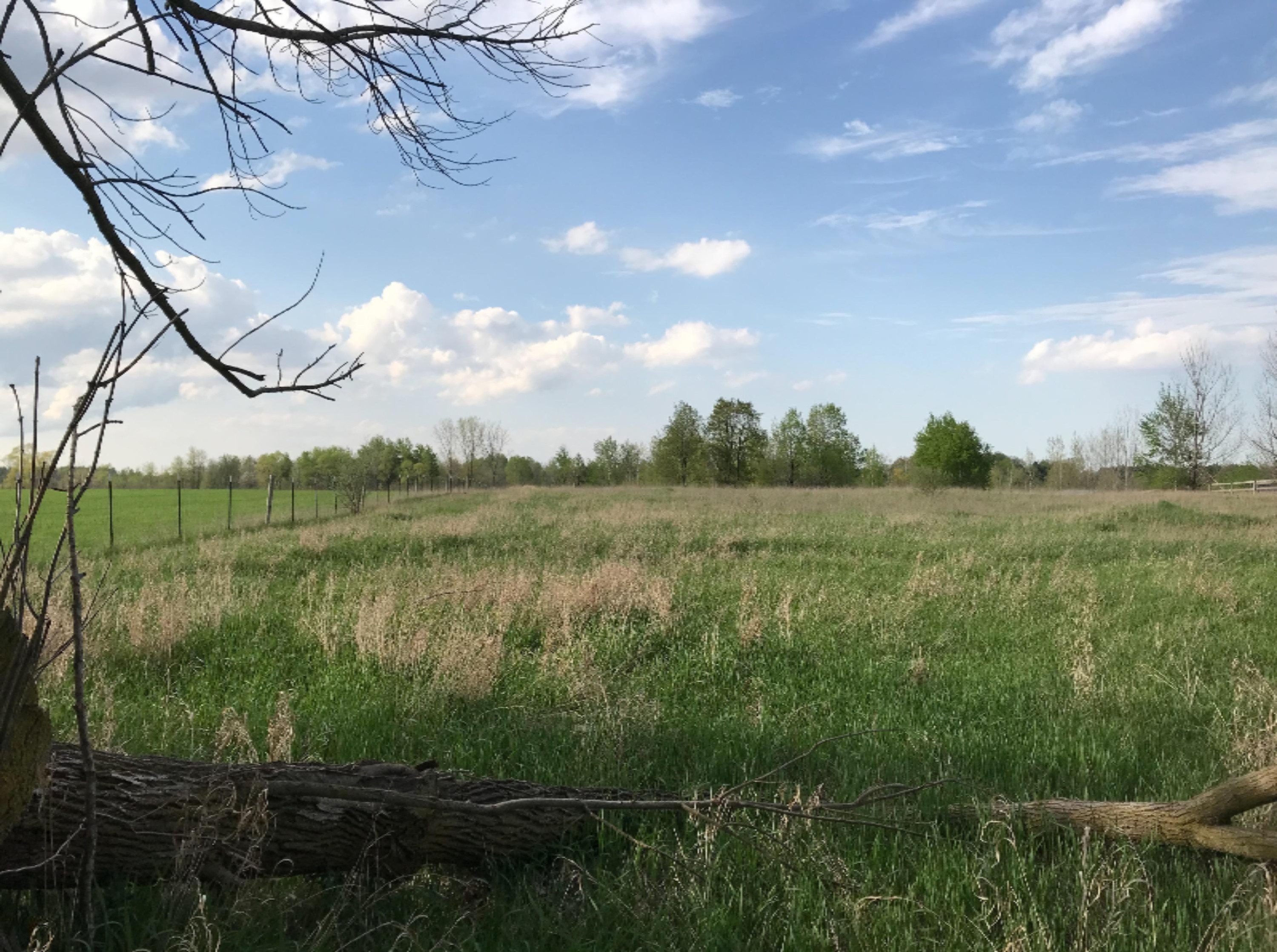 8250 Townline Lake Road Lakeview, MI 48850 - Photo 1 of 12 8C9BD033-576C-4936-9E40-9B2E1686E273