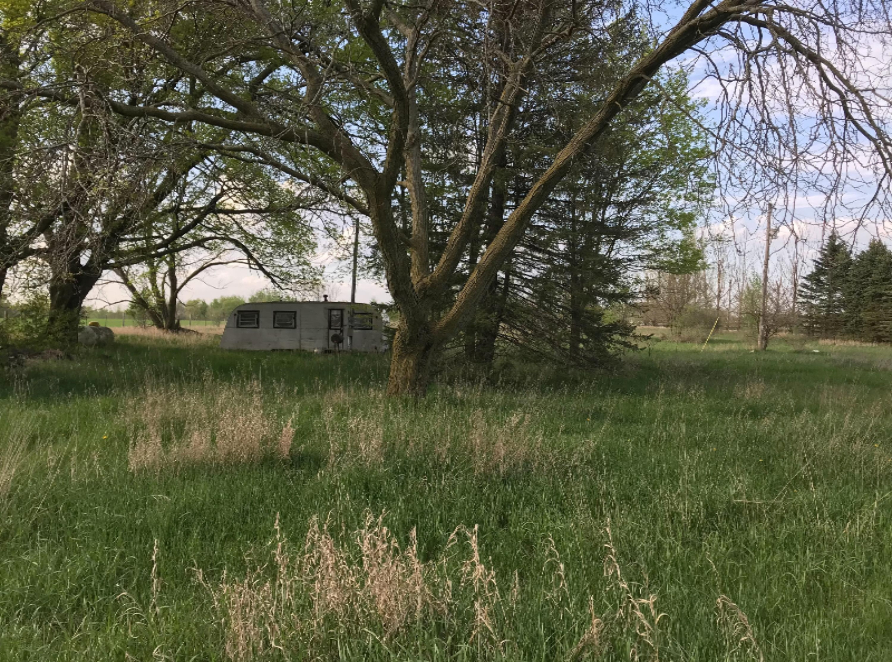 8250 Townline Lake Road Lakeview, MI 48850 - Photo 8 of 12 8C25FB48-BA06-4307-91C2-2804D6EEF9E6