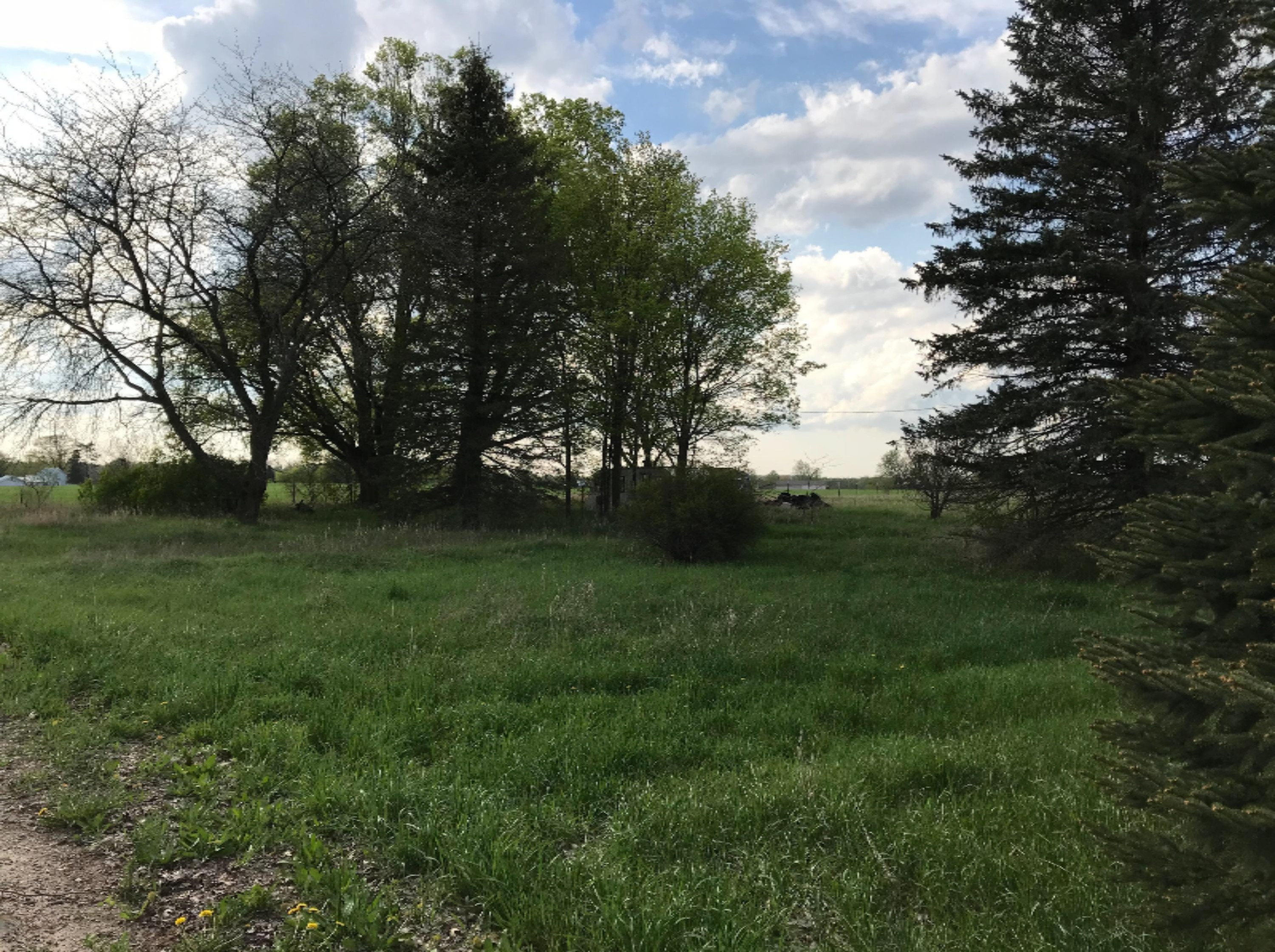 8250 Townline Lake Road Lakeview, MI 48850 - Photo 10 of 12 6F696D64-0888-4C5E-9747-04BA482093DD