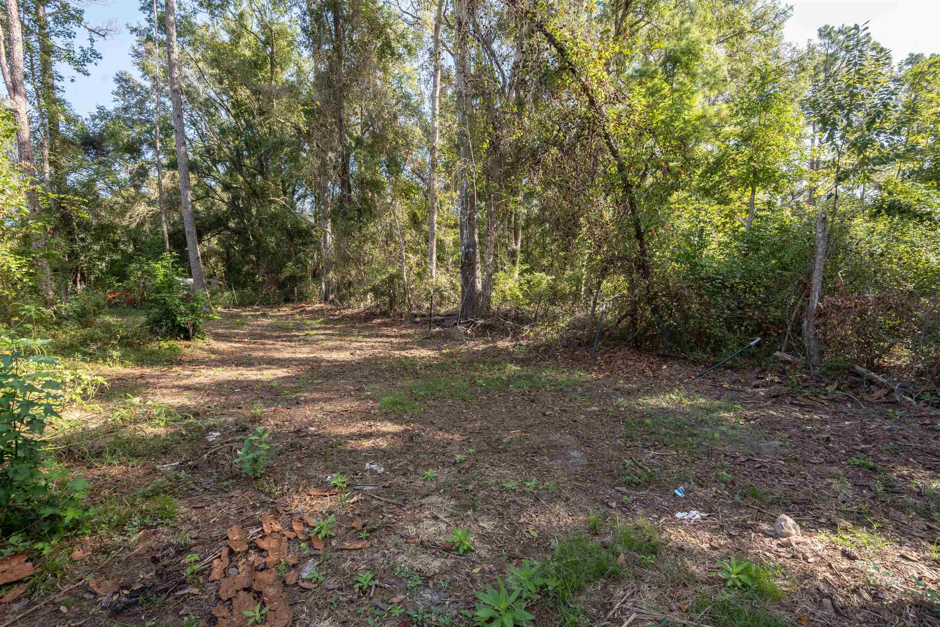 10412 Roger Hamlin Road Tallahassee, FL 32311 - Photo 13 of 70 Gallery Image 13
