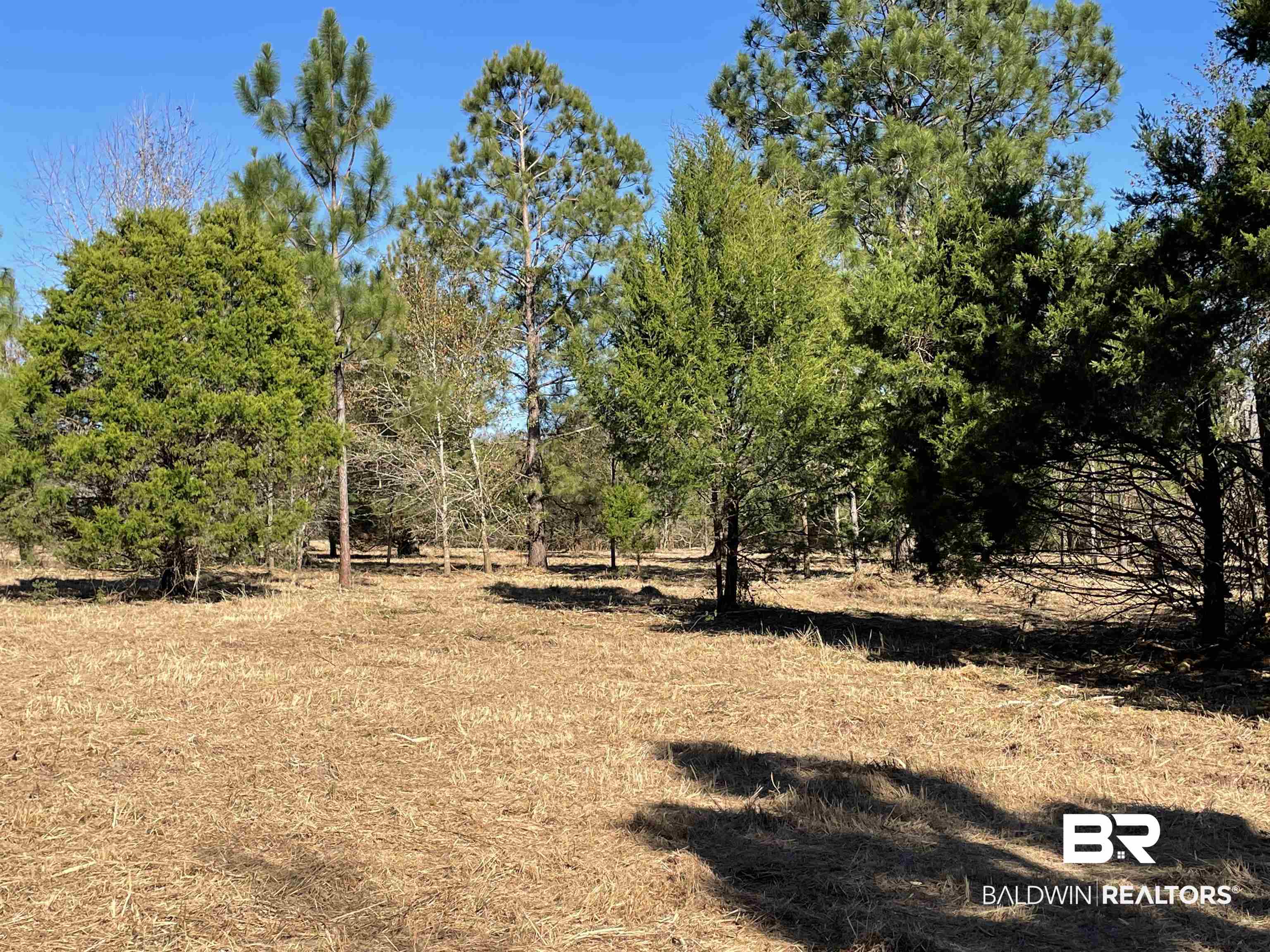 0 Makaira Drive Foley, AL 36535 - Photo 21 of 33