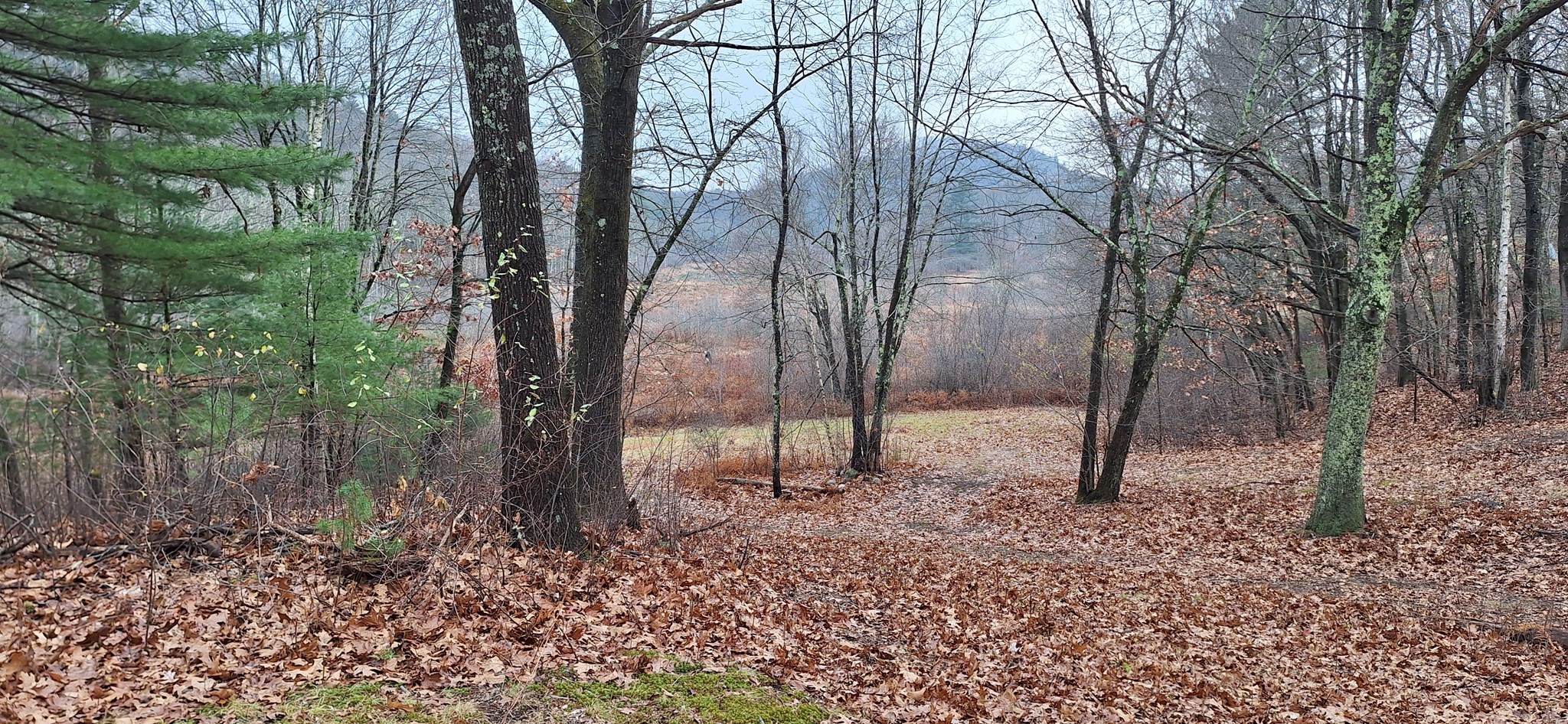 Lot 3 Mountain Road Holyoke, MA 01040 - Photo 7 of 12 Gallery Image 7