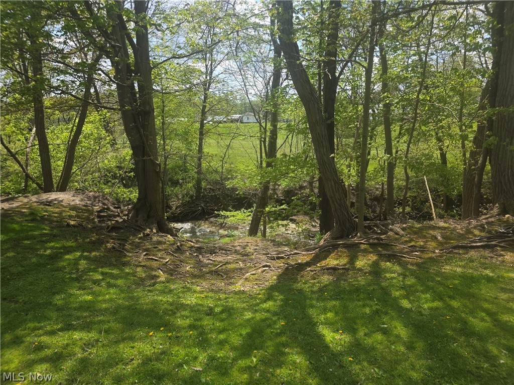 Swine Creek Road Middlefield, OH 44062 - Photo 15 of 20