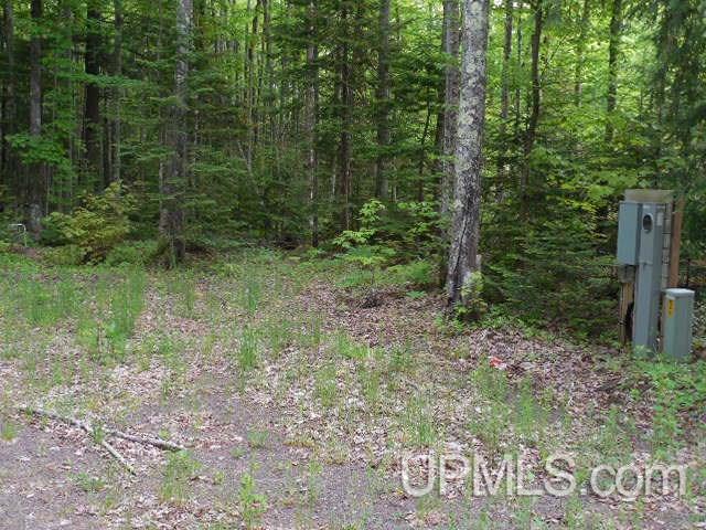 42011 Ten Mile Point Road Ontonagon, MI 49953 - Photo 8 of 20