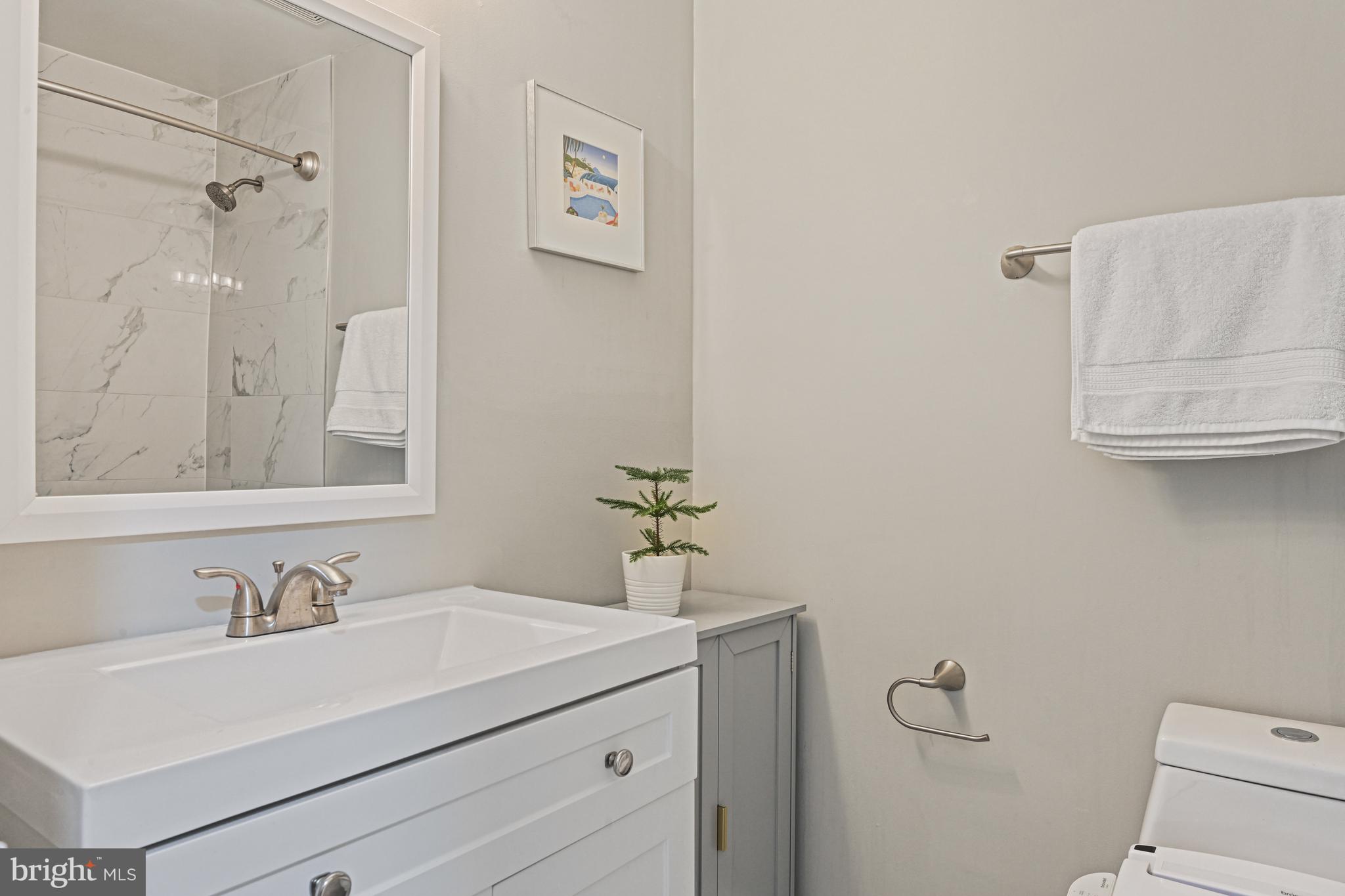2109 South Bay Lane Reston, VA 20191 - Photo 42 of 63 Hall Bathroom