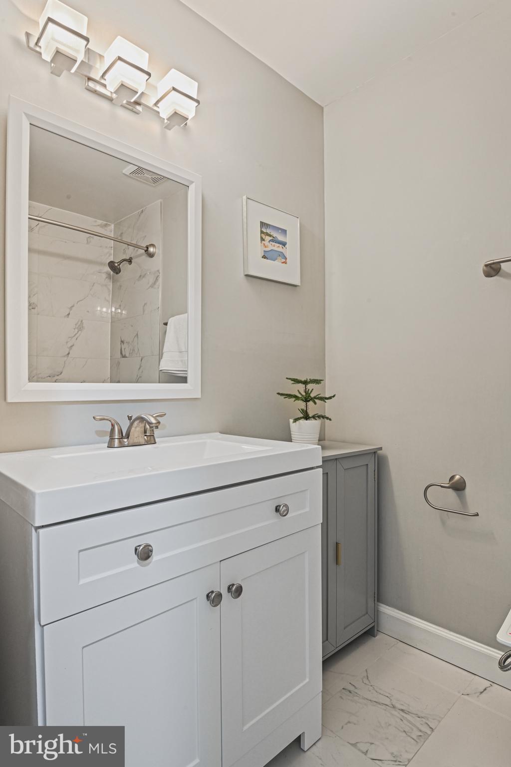 2109 South Bay Lane Reston, VA 20191 - Photo 43 of 63 Hall Bathroom