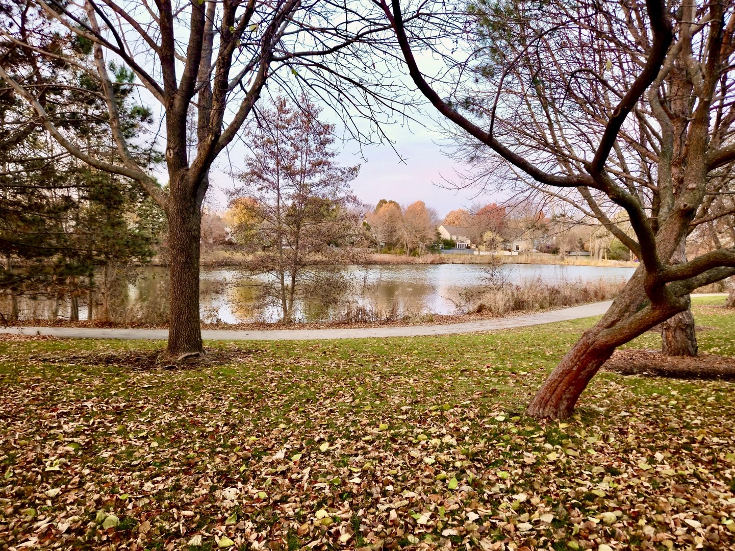 943 Chesapeake Boulevard Grayslake, IL 60030 - Photo 40 of 46