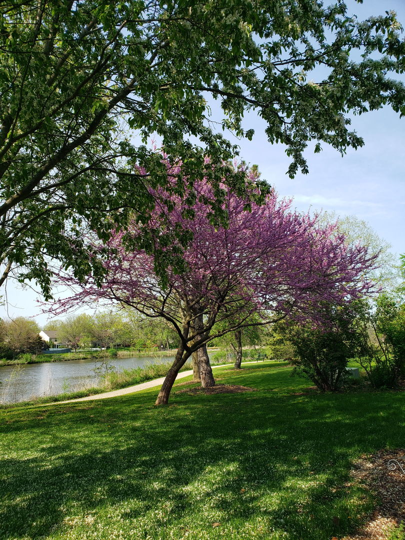 943 Chesapeake Boulevard Grayslake, IL 60030 - Photo 42 of 46