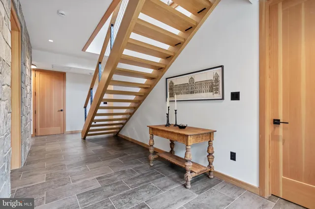 a view of a lush green forest