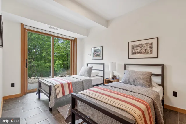 a view of a lush green forest