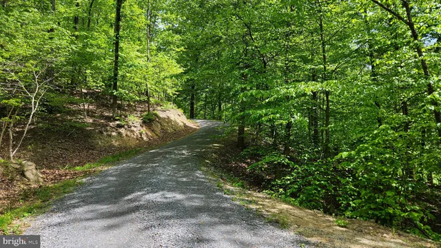 $2,650,000 | 559 Bessie Bell Mountain Road, Woodville, VA 22749