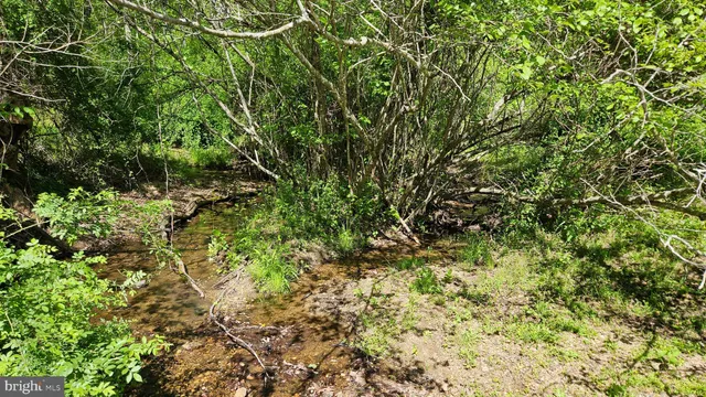 $2,650,000 | 559 Bessie Bell Mountain Road, Woodville, VA 22749