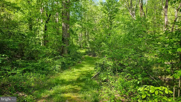 $2,650,000 | 559 Bessie Bell Mountain Road, Woodville, VA 22749