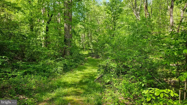 $2,650,000 | 559 Bessie Bell Mountain Road, Woodville, VA 22749