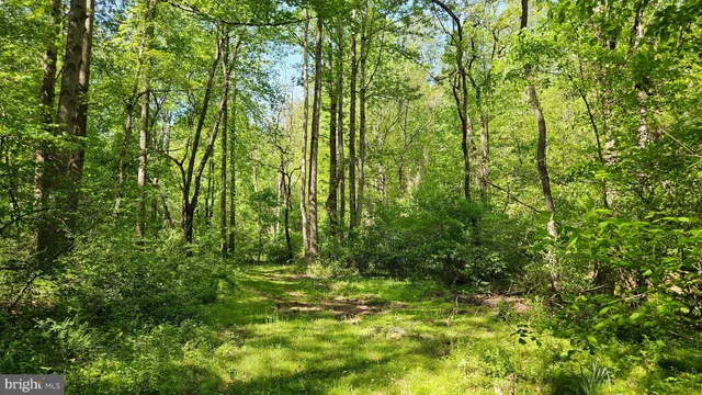 $2,650,000 | 559 Bessie Bell Mountain Road, Woodville, VA 22749