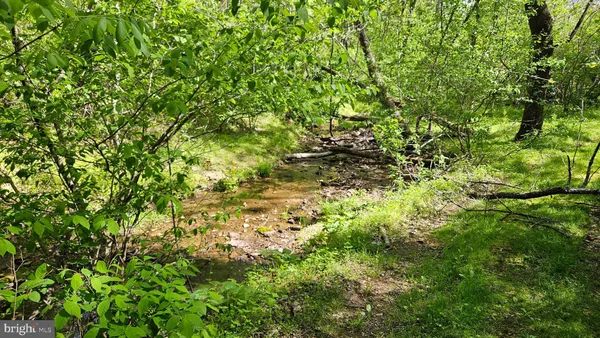 $2,650,000 | 559 Bessie Bell Mountain Road, Woodville, VA 22749