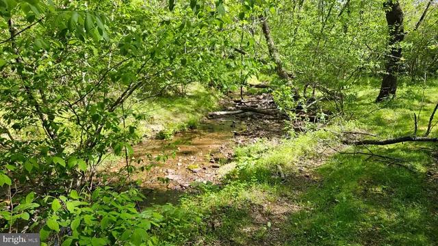 $2,650,000 | 559 Bessie Bell Mountain Road, Woodville, VA 22749