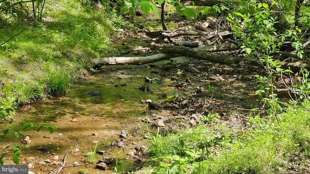 $2,650,000 | 559 Bessie Bell Mountain Road, Woodville, VA 22749