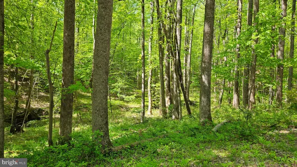 $2,650,000 | 559 Bessie Bell Mountain Road, Woodville, VA 22749