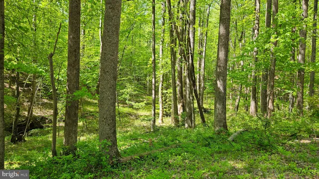 $2,650,000 | 559 Bessie Bell Mountain Road, Woodville, VA 22749