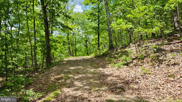 $2,650,000 | 559 Bessie Bell Mountain Road, Woodville, VA 22749