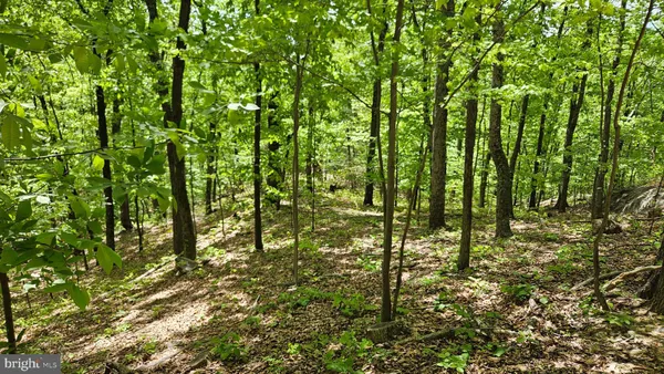 $2,650,000 | 559 Bessie Bell Mountain Road, Woodville, VA 22749