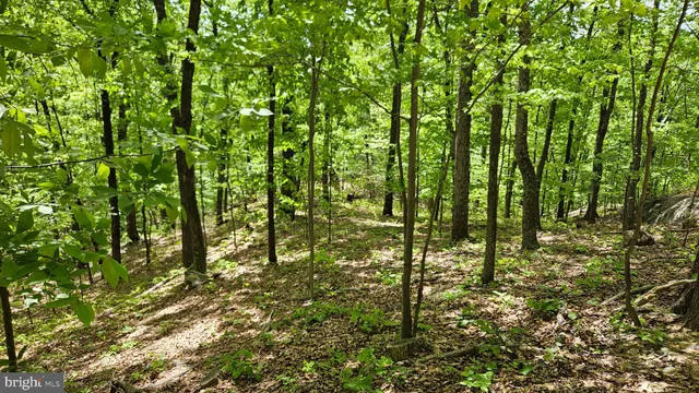 $2,650,000 | 559 Bessie Bell Mountain Road, Woodville, VA 22749