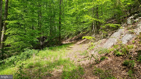 $2,650,000 | 559 Bessie Bell Mountain Road, Woodville, VA 22749