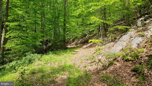 $2,650,000 | 559 Bessie Bell Mountain Road, Woodville, VA 22749