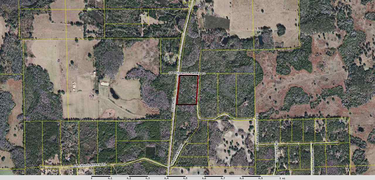 Vacant Southwest Hopewell Farm Road, Unit LOT 7 Madison, FL 32340 - Photo 1 of 12 Gallery Image 1