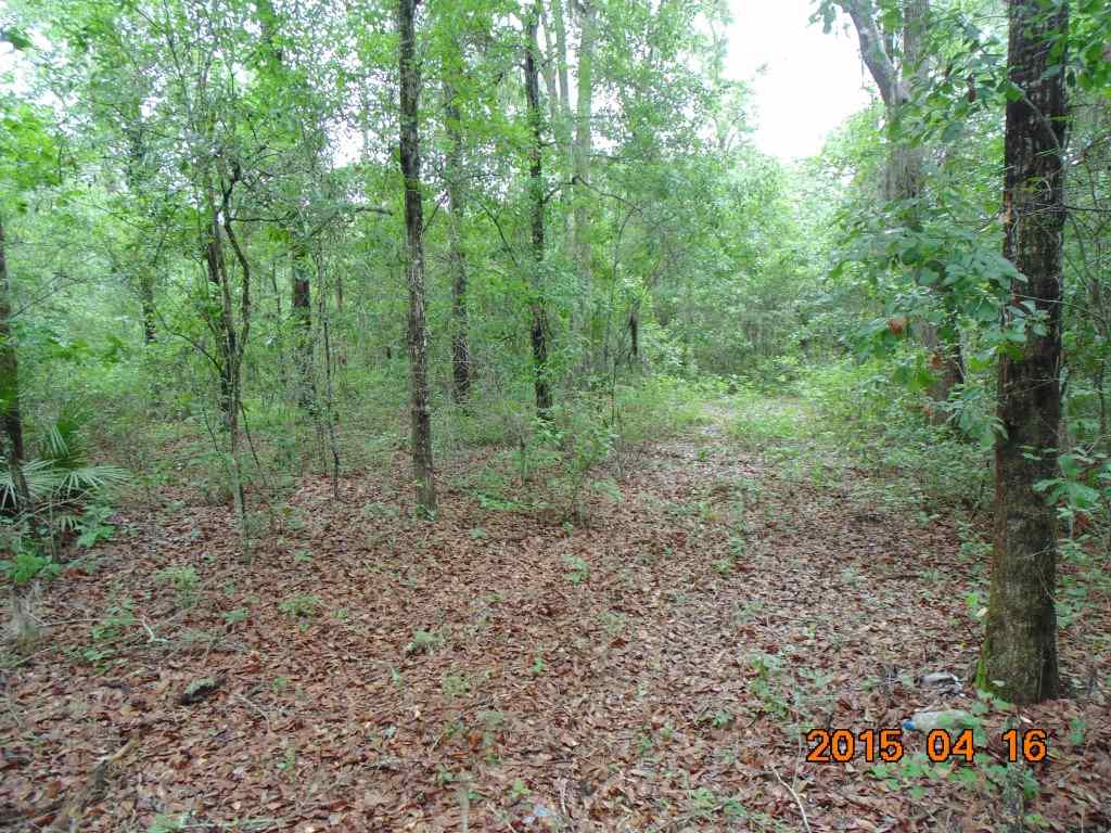 Vacant Southwest Hopewell Farm Road, Unit LOT 7 Madison, FL 32340 - Photo 11 of 12 Gallery Image 11