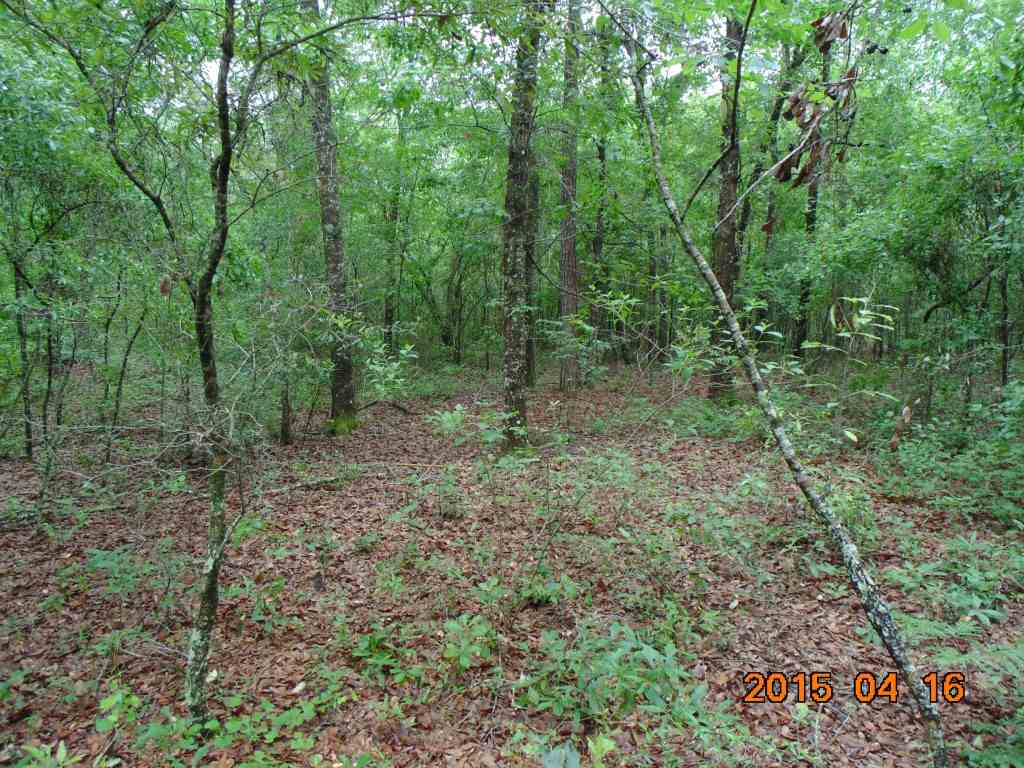 Vacant Southwest Hopewell Farm Road, Unit LOT 7 Madison, FL 32340 - Photo 12 of 12 Gallery Image 12