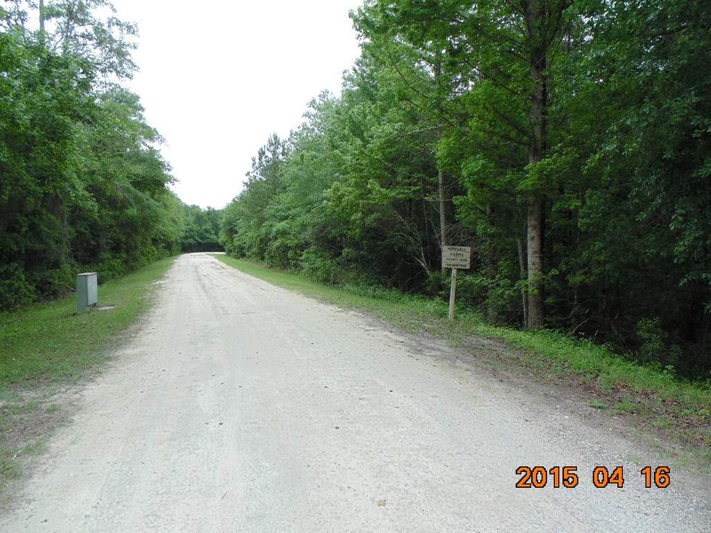 Vacant Southwest Hopewell Farm Road, Unit LOT 7 Madison, FL 32340 - Photo 2 of 12 Gallery Image 2