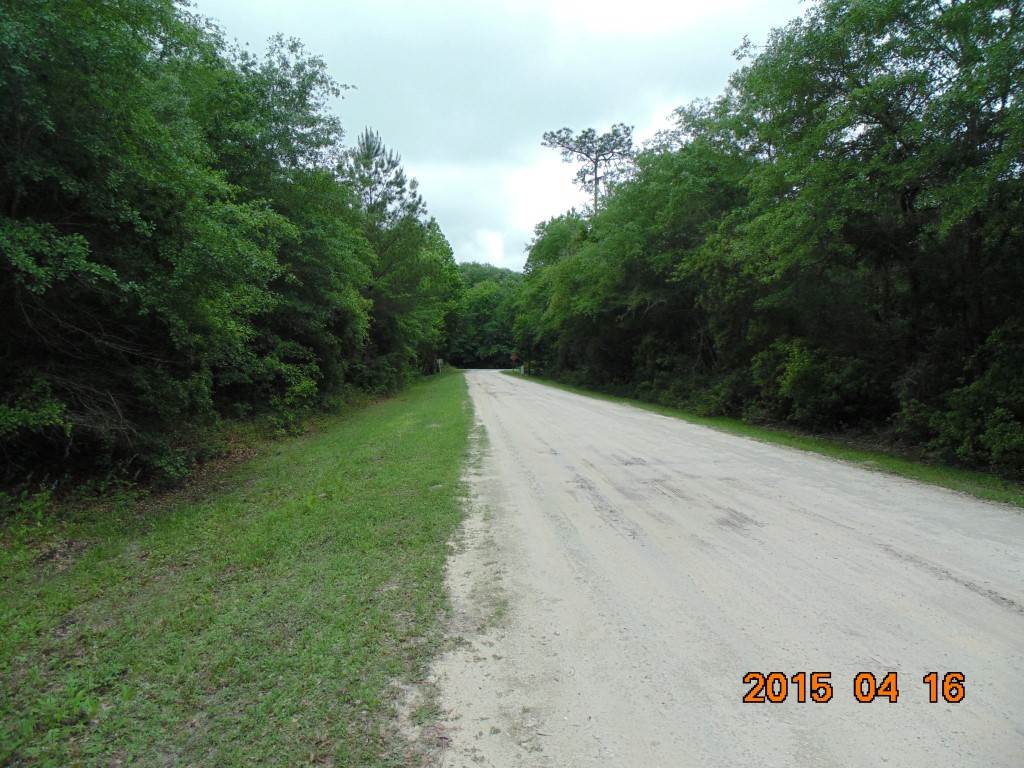 Vacant Southwest Hopewell Farm Road, Unit LOT 7 Madison, FL 32340 - Photo 5 of 12 Gallery Image 5