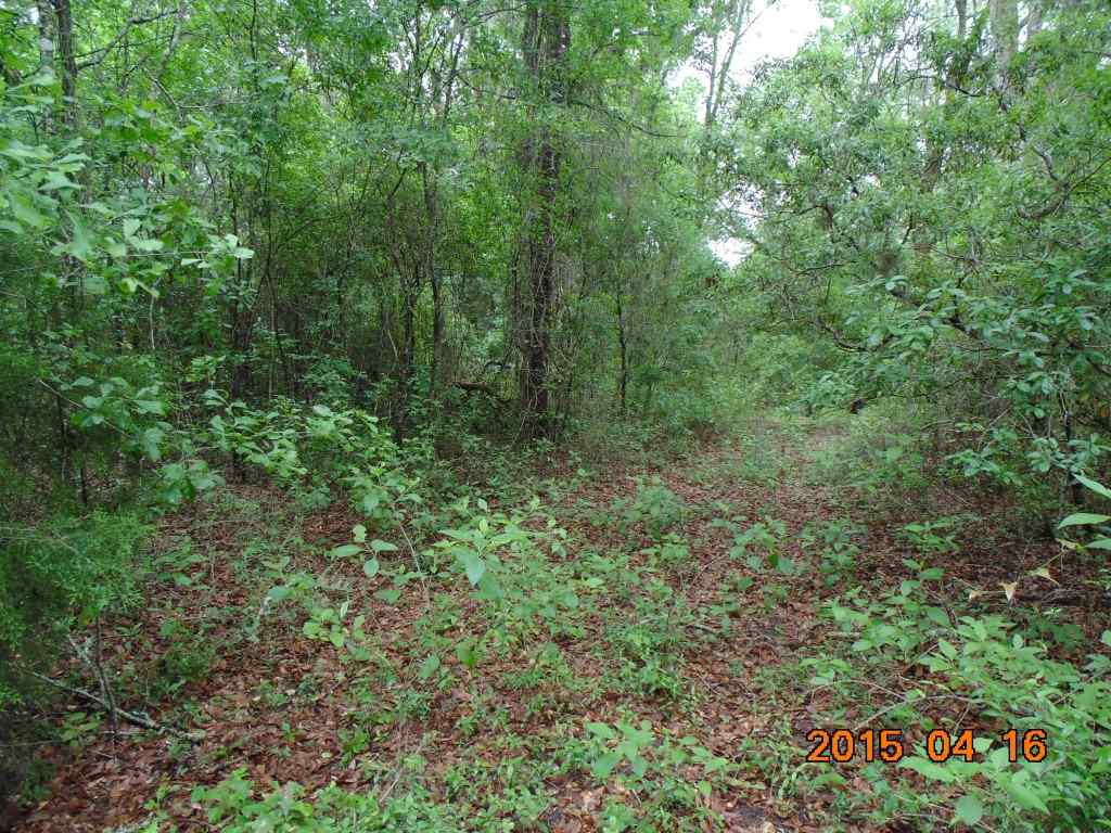Vacant Southwest Hopewell Farm Road, Unit LOT 7 Madison, FL 32340 - Photo 6 of 12 Gallery Image 6