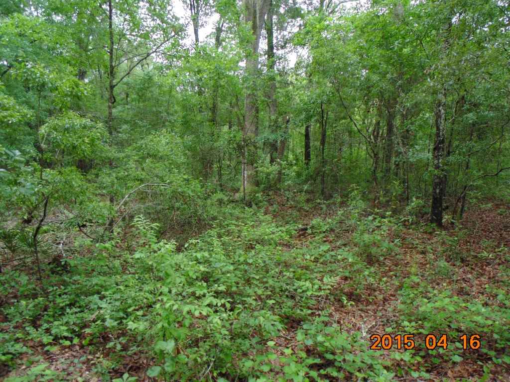 Vacant Southwest Hopewell Farm Road, Unit LOT 7 Madison, FL 32340 - Photo 9 of 12 Gallery Image 9