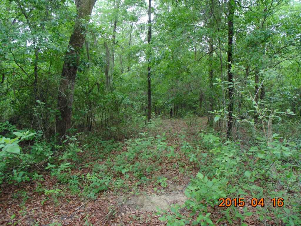 Vacant Southwest Hopewell Farm Road, Unit LOT 7 Madison, FL 32340 - Photo 10 of 12 Gallery Image 10